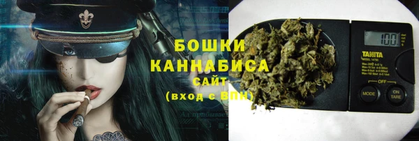 ГАЛЛЮЦИНОГЕННЫЕ ГРИБЫ Аркадак