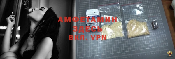 ГАЛЛЮЦИНОГЕННЫЕ ГРИБЫ Аркадак