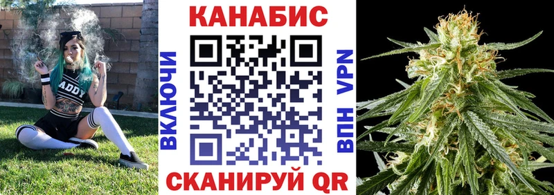 купить наркотики сайты  Строитель  МАРИХУАНА SATIVA & INDICA 